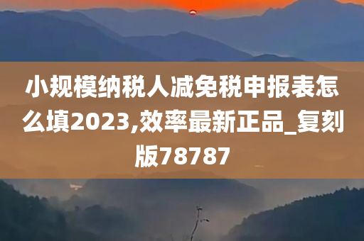 小规模纳税人减免税申报表怎么填2023,效率最新正品_复刻版78787