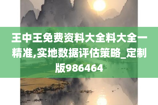 王中王免费资料大全料大全一精准,实地数据评估策略_定制版986464