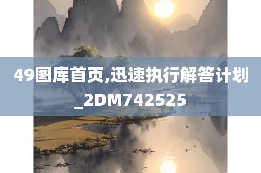 49图库首页,迅速执行解答计划_2DM742525