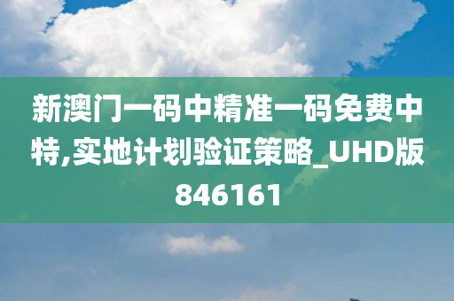 新澳门一码中精准一码免费中特,实地计划验证策略_UHD版846161