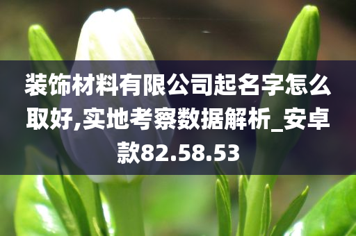 装饰材料有限公司起名字怎么取好,实地考察数据解析_安卓款82.58.53