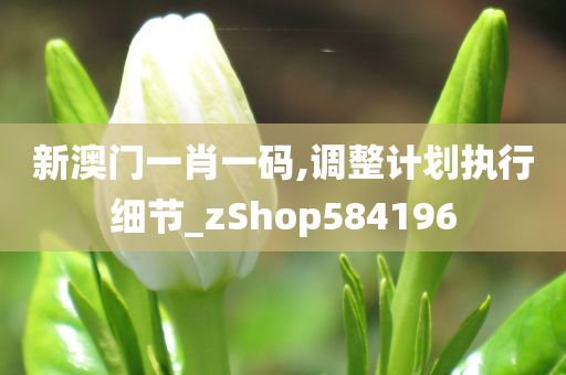 新澳门一肖一码,调整计划执行细节_zShop584196