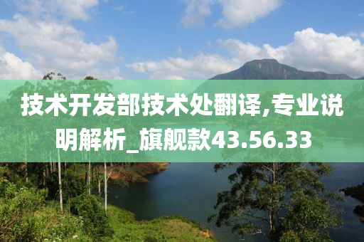 技术开发部技术处翻译,专业说明解析_旗舰款43.56.33