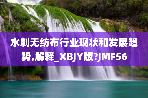 水刺无纺布行业现状和发展趋势,解释_XBJY版?JMF56