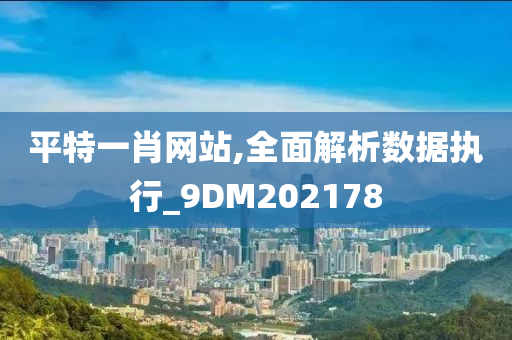 平特一肖网站,全面解析数据执行_9DM202178