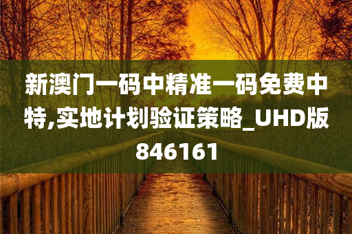 新澳门一码中精准一码免费中特,实地计划验证策略_UHD版846161