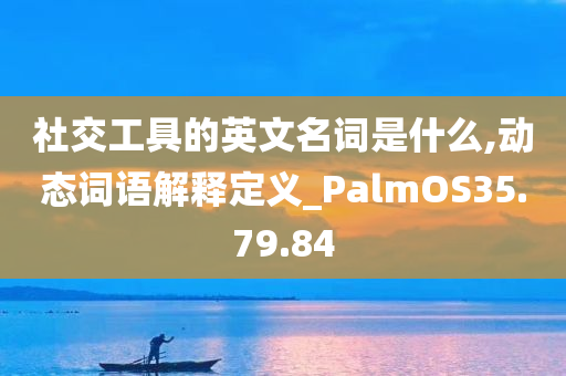 社交工具的英文名词是什么,动态词语解释定义_PalmOS35.79.84