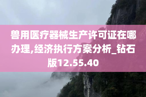 兽用医疗器械生产许可证在哪办理,经济执行方案分析_钻石版12.55.40