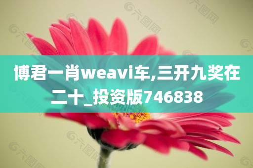 博君一肖weavi车,三开九奖在二十_投资版746838