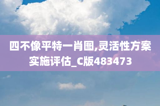 四不像平特一肖图,灵活性方案实施评估_C版483473