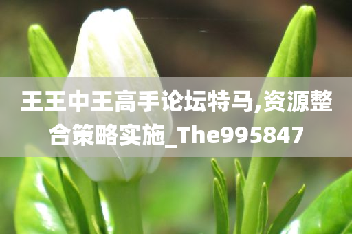 王王中王高手论坛特马,资源整合策略实施_The995847