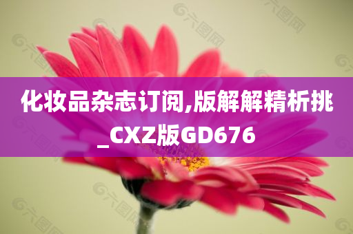 化妆品杂志订阅,版解解精析挑_CXZ版GD676