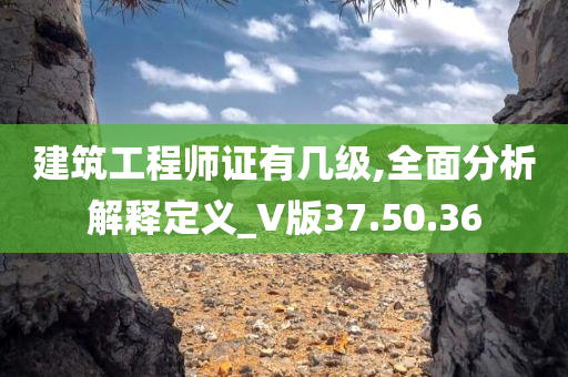 建筑工程师证有几级,全面分析解释定义_V版37.50.36