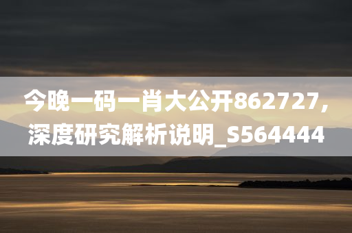 今晚一码一肖大公开862727,深度研究解析说明_S564444