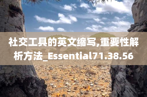 社交工具的英文缩写,重要性解析方法_Essential71.38.56