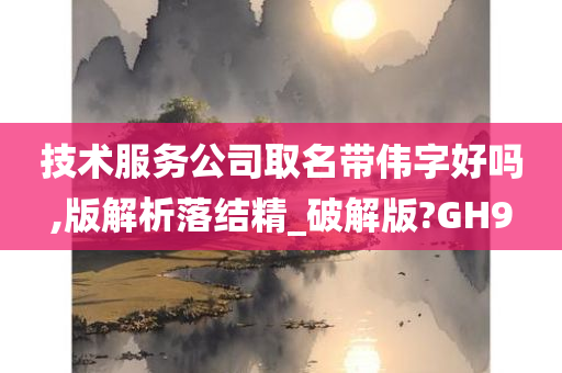 技术服务公司取名带伟字好吗,版解析落结精_破解版?GH9