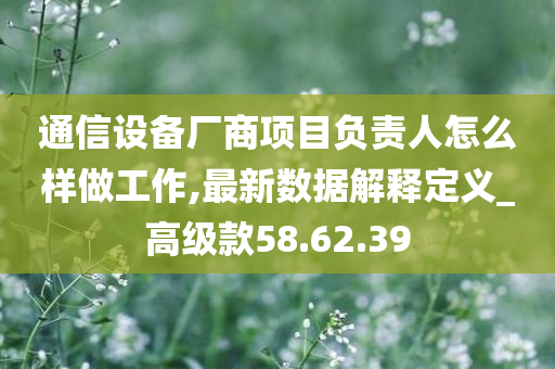 通信设备厂商项目负责人怎么样做工作,最新数据解释定义_高级款58.62.39