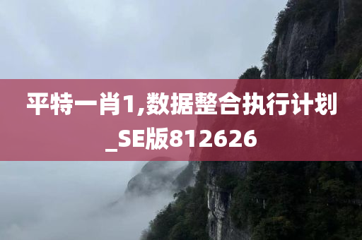 平特一肖1,数据整合执行计划_SE版812626