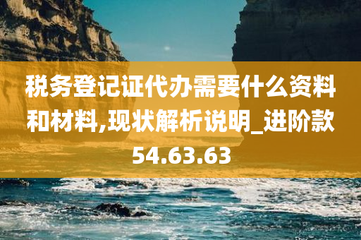 税务登记证代办需要什么资料和材料,现状解析说明_进阶款54.63.63