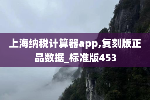 上海纳税计算器app,复刻版正品数据_标准版453