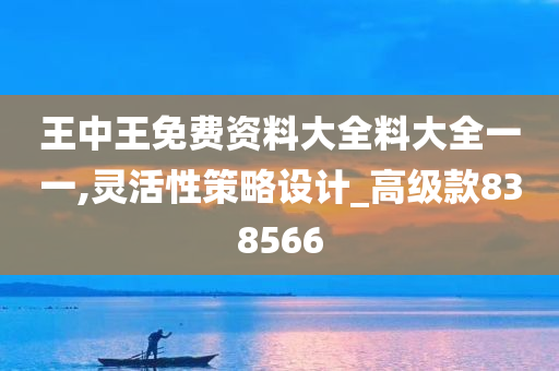 王中王免费资料大全料大全一一,灵活性策略设计_高级款838566