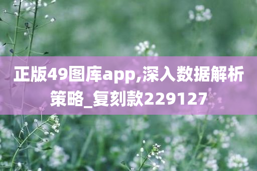 正版49图库app,深入数据解析策略_复刻款229127