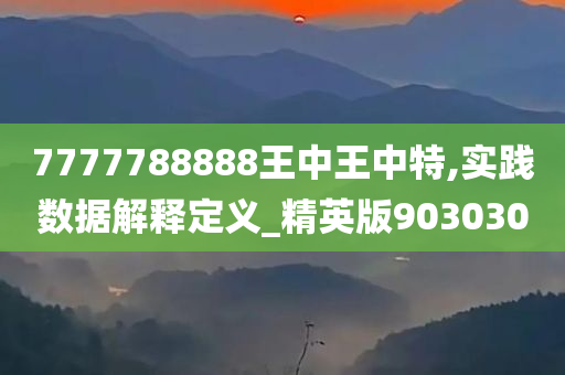 7777788888王中王中特,实践数据解释定义_精英版903030