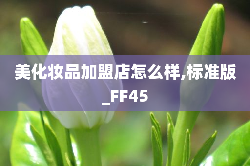 美化妆品加盟店怎么样,标准版_FF45