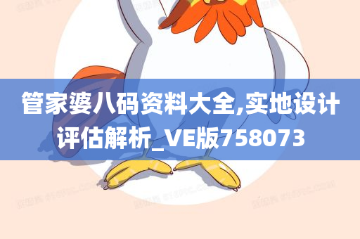 管家婆八码资料大全,实地设计评估解析_VE版758073