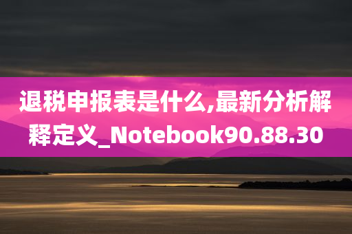 退税申报表是什么,最新分析解释定义_Notebook90.88.30