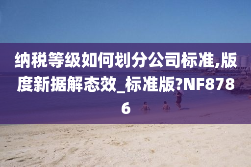 纳税等级如何划分公司标准,版度新据解态效_标准版?NF8786