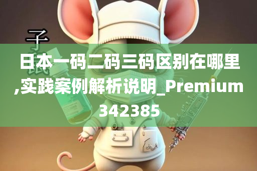 日本一码二码三码区别在哪里,实践案例解析说明_Premium342385