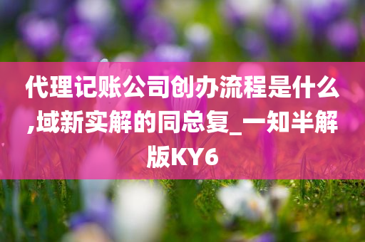 代理记账公司创办流程是什么,域新实解的同总复_一知半解版KY6