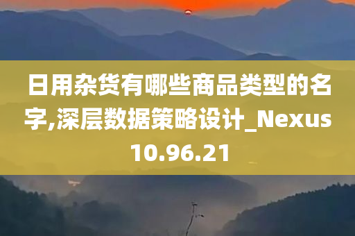 日用杂货有哪些商品类型的名字,深层数据策略设计_Nexus10.96.21