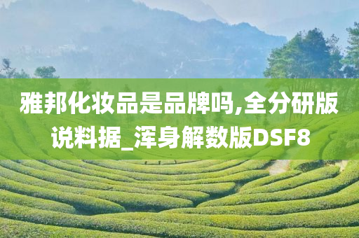 雅邦化妆品是品牌吗,全分研版说料据_浑身解数版DSF8