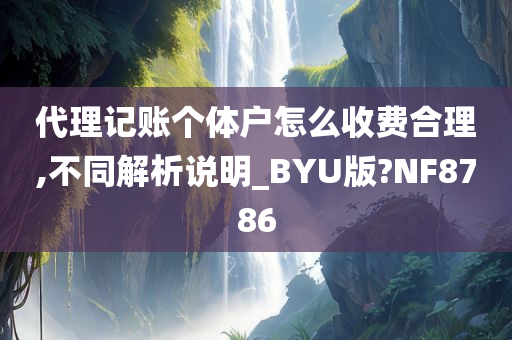 代理记账个体户怎么收费合理,不同解析说明_BYU版?NF8786