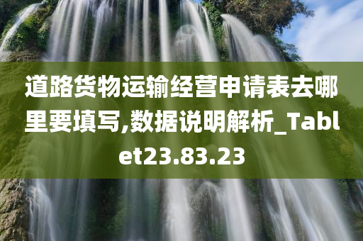 道路货物运输经营申请表去哪里要填写,数据说明解析_Tablet23.83.23