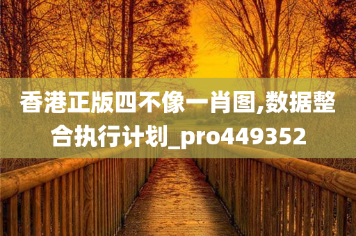 香港正版四不像一肖图,数据整合执行计划_pro449352