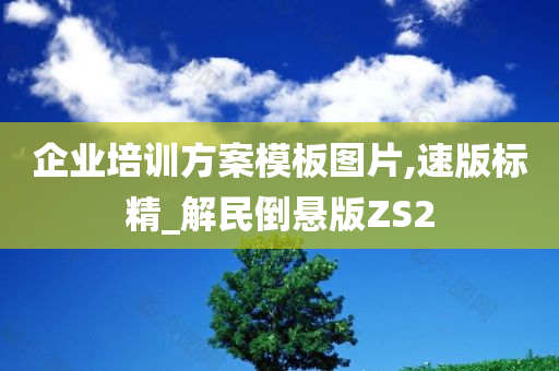 企业培训方案模板图片,速版标精_解民倒悬版ZS2