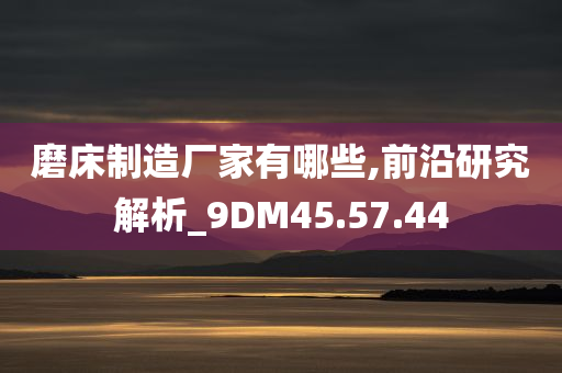 磨床制造厂家有哪些,前沿研究解析_9DM45.57.44