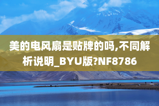 美的电风扇是贴牌的吗,不同解析说明_BYU版?NF8786