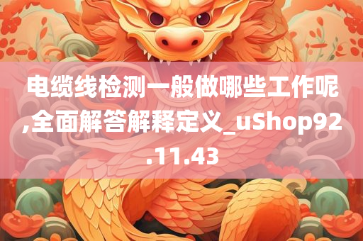 电缆线检测一般做哪些工作呢,全面解答解释定义_uShop92.11.43