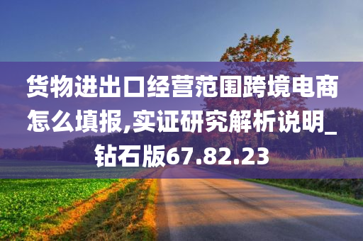 货物进出口经营范围跨境电商怎么填报,实证研究解析说明_钻石版67.82.23