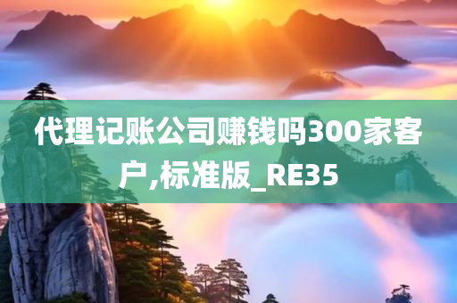 代理记账公司赚钱吗300家客户,标准版_RE35