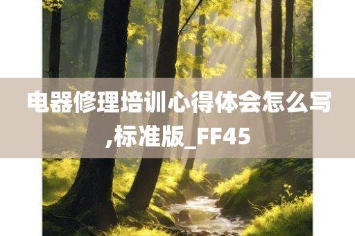 电器修理培训心得体会怎么写,标准版_FF45