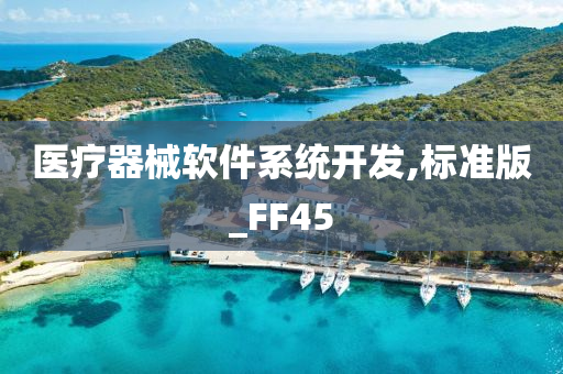 医疗器械软件系统开发,标准版_FF45