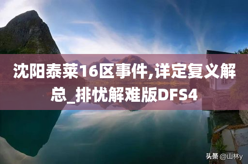 沈阳泰莱16区事件,详定复义解总_排忧解难版DFS4