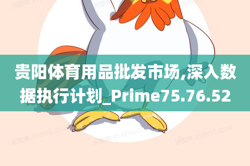 贵阳体育用品批发市场,深入数据执行计划_Prime75.76.52