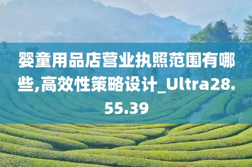 婴童用品店营业执照范围有哪些,高效性策略设计_Ultra28.55.39