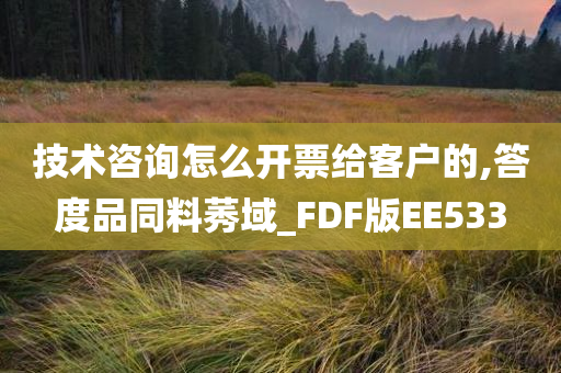 技术咨询怎么开票给客户的,答度品同料莠域_FDF版EE533